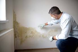 Forensic Mold Investigation in Medford, WI